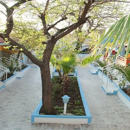Temple 3*