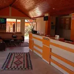 Temple シダ