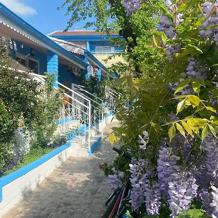 Temple מלון 3*