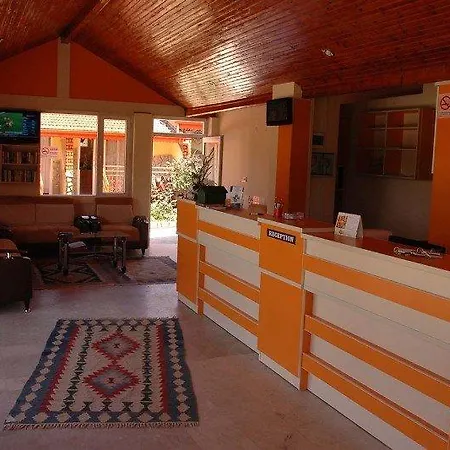 Temple סייד